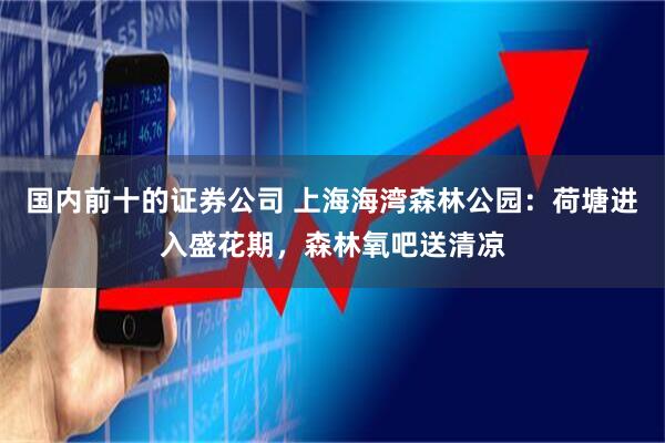 国内前十的证券公司 上海海湾森林公园：荷塘进入盛花期，森林氧吧送清凉