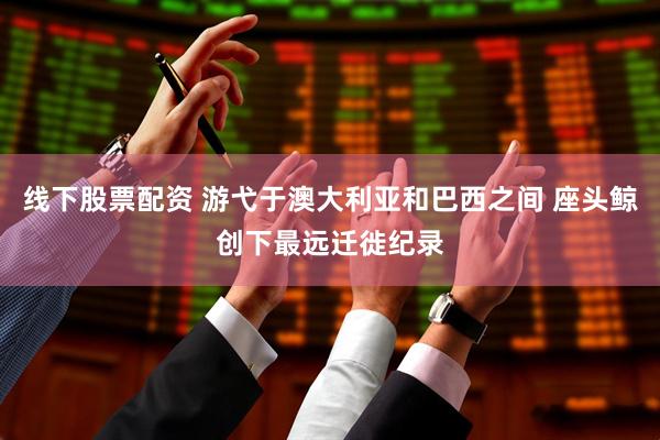 线下股票配资 游弋于澳大利亚和巴西之间 座头鲸创下最远迁徙纪录