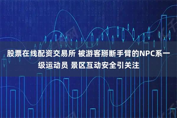 股票在线配资交易所 被游客掰断手臂的NPC系一级运动员 景区互动安全引关注